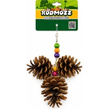 Rodmozz Premium 3'lü Çam Kozalaklı Kemirgen Oyuncağı