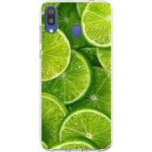 TechTree Samsung Galaxy M20 Uyumlu Misket Limonu Lime Desenli Yaz Temalı Baskılı Silikon Kılıf
