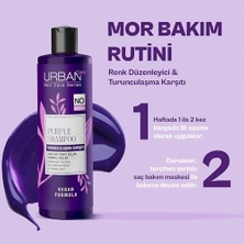 Skygo Care Turunculaşma Karşıtı Mor Sülfatsız Saç Bakım Şampuanı 250 ml