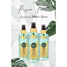 Skygo Soul Beauty 250 ml x 3 Adet