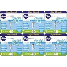 Mabeyn Natural Günlük Ped Normal 240 Adet
