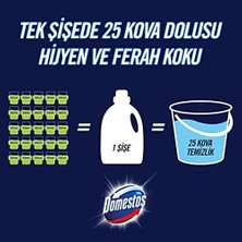 Mabeyn Domestos Yüzey Temizleyici Yoğun Kıvam Çam 1500 ml 2li Paket