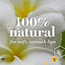 Mabeyn Burt's Bees Dudak Bakım Kremi