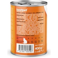 Mabeyn Bestpet Yetişkin Kediler Için, Taze Somon Parça Etli ve Soslu Yaş Mama, 400 G x 12 Adet