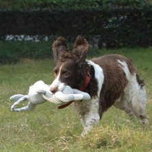 Mabeyn Eco Chewtopıa Pıg Köpek Oyuncağı