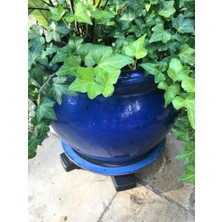 Mabeyn Under Plant Caddie S20410LVC Bosmere, 50,8 Cm, Kömür, Inç