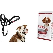 Mabeyn Halti Ağızlıklı Tasma, Boyut 2 Siyah + Reflex Plus Adult Dog Energy 28/18 Beef, 15 kg