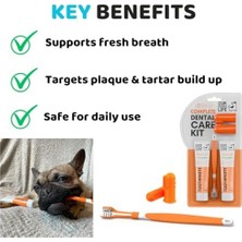 Mabeyn Diş Macunu ile Köpek Diş Fırçası | Onaylanmış Köpek Diş Kiti | Köpekler Için Üç Başlı Derin Temizleme Diş Fırçası +%100 Doğal Diş Macunu | Nefes Alır ve Plakları Çıkarır
