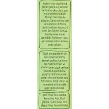 Mabeyn Jungle Meyveli Paraket Krakeri 3'lü Paket (1 x 3 Adet)