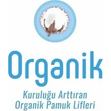 Mabeyn Natural Günlük Ped Normal 40'lı x 12 (480 Adet)