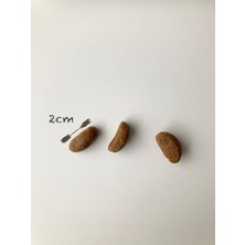Mabeyn Low Grain Kuzu ve Yaban Mersinli Orta ve Büyük Irk Yavru Köpek Maması 2,5 kg