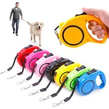 Mabeyn Makaralı Otomatik Köpek Tasması 5 Metre Sarı – Geri Çekilebilir Kilitli Makara Sistemi – Dayanıklı Şerit Halat – Ergonomik Kaymaz Sap – Küçük ve Orta Irklar Için