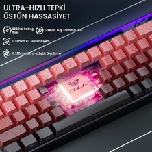 Mabeyn Aula Hero 68 He Manyetik Klavye Trigger Dragon Switch 8000Hz Rgb Neon Tkl Hot Swap Oyuncu Klavyesi Kırmızı