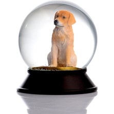 Mabeyn Cam ve Reçine Altın Patiler Köpek Retriever Kar Küresi Hediye