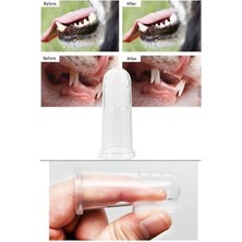 Berry Store Kedi Köpek Diş Temizleme Fırçası
