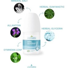 Mabeyn Natural Deodorant - Orange