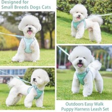 Berry Store Küçük Köpek Tasması ve Kayışı, S Kodu Çekme Yok Ayarlanabilir Yansıtıcı Nefes Alabilir Fileli Basamaklı Köpek Tasması, Küçük Orta Boy Köpekler ve Kediler Için Kolay Yürüyüş Köpek Tasması