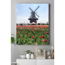 Mabeyn (PSTER16228) Hollanda Manzara Kanvas Tablo 2 40 x 60