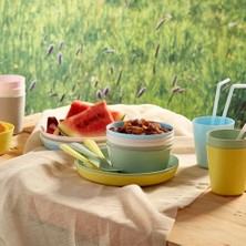 Berry Store Kalas Tabak, Karışık Renkler Çeşitli Renkler