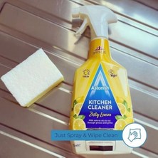 Berry Store Astonish Mutfak Temizleyici Sprey 750 ml