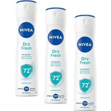 Berry Store Dry Fresh Kadın Sprey Deodorant, 150 ml (3 Paketi)