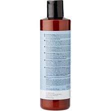 Berry Store Artego Rain Dance Renk Koruyucu Şampuan 250ML