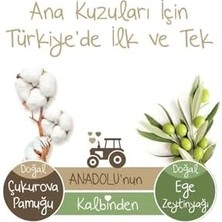 DMR Home Baby Turco Doğadan Bonus Paket Bebek Bezi 6 Beden 72X2 144 Adet