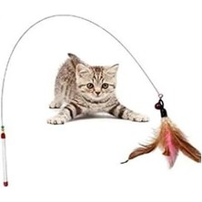DMR Home 90 cm Kedi Oyun Oltası