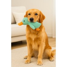 DMR Home Köpek Oyuncağı Ördek Şekilli Peluş Sesli ve Hışırtılı Dayanıklı Çiğneme ve Isırma Oyuncağı Anti Yumuşak Peluş Köpek Eğitim ve Oyun Oyuncağı (Yeşil)