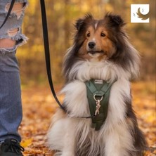 DMR Home Rc Pets Çekmesiz Köpek Koşumu, X-Large, Kırçıllı Siyah