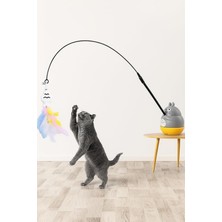 DMR Home Kedi Oyun Oltası (Standart, Balıkçı)