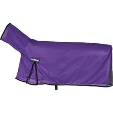 DMR Home Deri 35 – 3521-B6 Procool Mesh Tavana Koyun, Küçük, Mavi L
