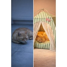 DMR Home Katlanabilir Yazlık Kedi Evi File Panelli Taşınabilir Minderli Evcil Hayvan Çadırı 35X35X35 cm Iç Minderli Nefes Alabilir Taşınabilir Kedi Köpek Evi Konforlu Uyku Alanı (Yeşil)