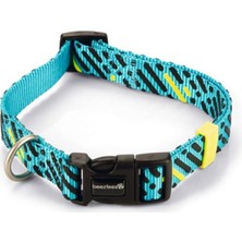 DMR Home Köpek Tasması, Turkuaz, 35-50CM, 20MM