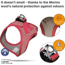 DMR Home Göğüs Tasması Merino Kırmızı 2xs