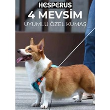 DMR Home Köpek Tasması Gövdelik ve Göğüslük Otomatik Toplama Rahat ve Konforlu Yürüyüş Tasma (Xs)