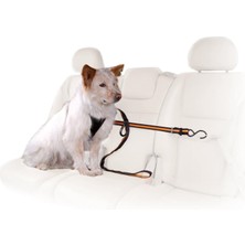 DMR Home Kurgo Köpekler Için Araç Emniyet Kemeri, Köpekleri Sürüş Sırasında Yerinde Tutar, Iki Nokta Arasında Sabitleme, Siyah/turuncu