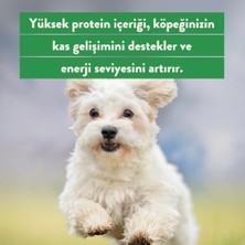 DMR Home Kito Freeze Dried Tavuk Göğüs Kedi Ödül MAMASI%100 Doğal, Glutensiz 30 Gr(Cat Treat)