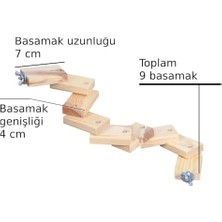 DMR Home Tavşan Gine Domuzu Fare Hamster Ginepig Kuş Papağan Tüneği Merdiveni Tünek Merdiven Oyun Parkuru Boy 53 cm