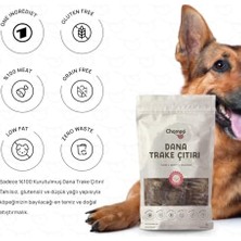 DMR Home Chompo Dana Trake Çıtırı 100% Doğal Katkısız Köpek Ödül Maması 100 gr