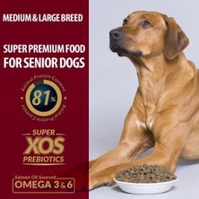 DMR Home Reflex Plus Büyük Orta Irk Kuzulu Yaşlı Köpek Maması 3 kg