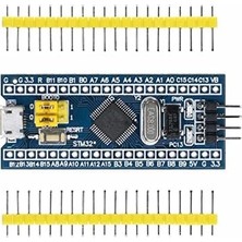 DMR Home STM32F103C6T6A Geliştirme Kartı