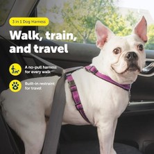 DMR Home Petsafe 3'ü 1 Arada Köpek Koşum Takımı, Çekmez, Araba Kemeri Için Köpek Koşum Takımı, Köpek Koşum Takımı, Köpek Koşum Takımı, Reflektörler, Bulaşık Sapı, S Beden, Siyah, Mavi, Mor