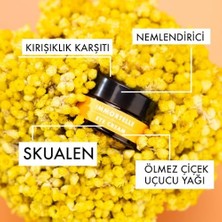 DMR Home Polente Natural - Ölmez Çiçek Kırışıklık Karşıtı Göz Kremi (20 Ml)