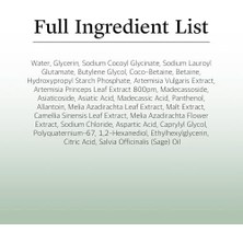 DMR Home Roundlab Mugwort Calming Cleanser Yüz Temizleyici 150 ml