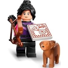 DMR Home LEGO 71039 Minifigür Serisi - 7-5702017413389