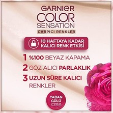 DMR Home Çarpıcı Renkler 7.12 Inci Kumral