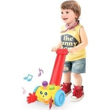 DMR Home Babycim Neşeli Müzikli Top Toplayıcı