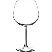 DMR Home Enoteca Şarap Kadehi