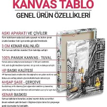 DMR Home Dünya Haritası Panosu 166 x 83-5 Parçalı